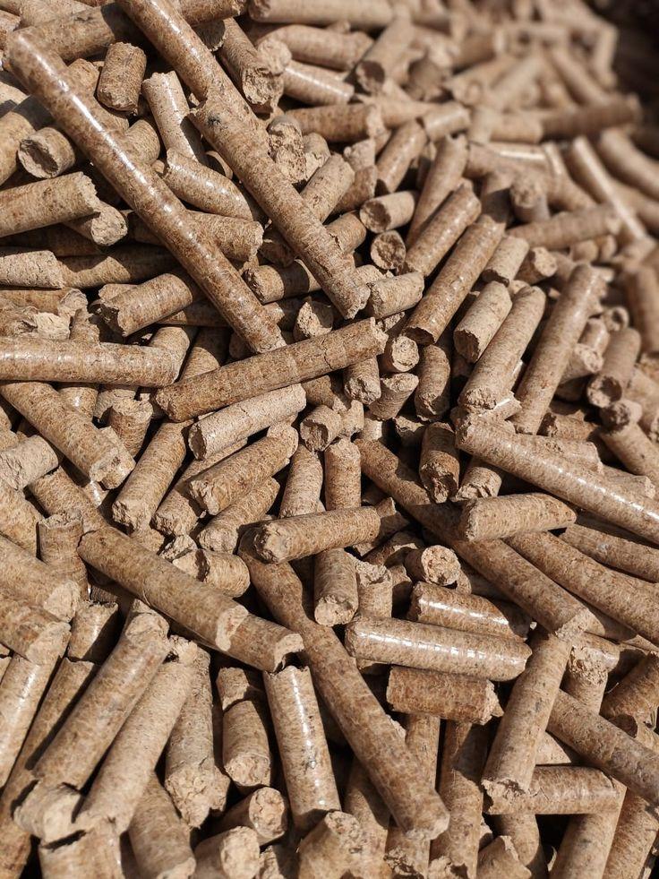 Finished biomass wood pellets representing GIGOC’s planned product.